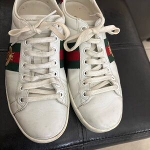 Gucci New Ace Bee Web Sneakers, SIZE 37/ US 7 Retail $620